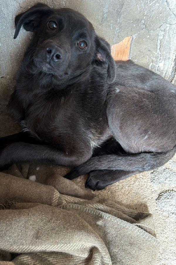 Ruby Foto 3